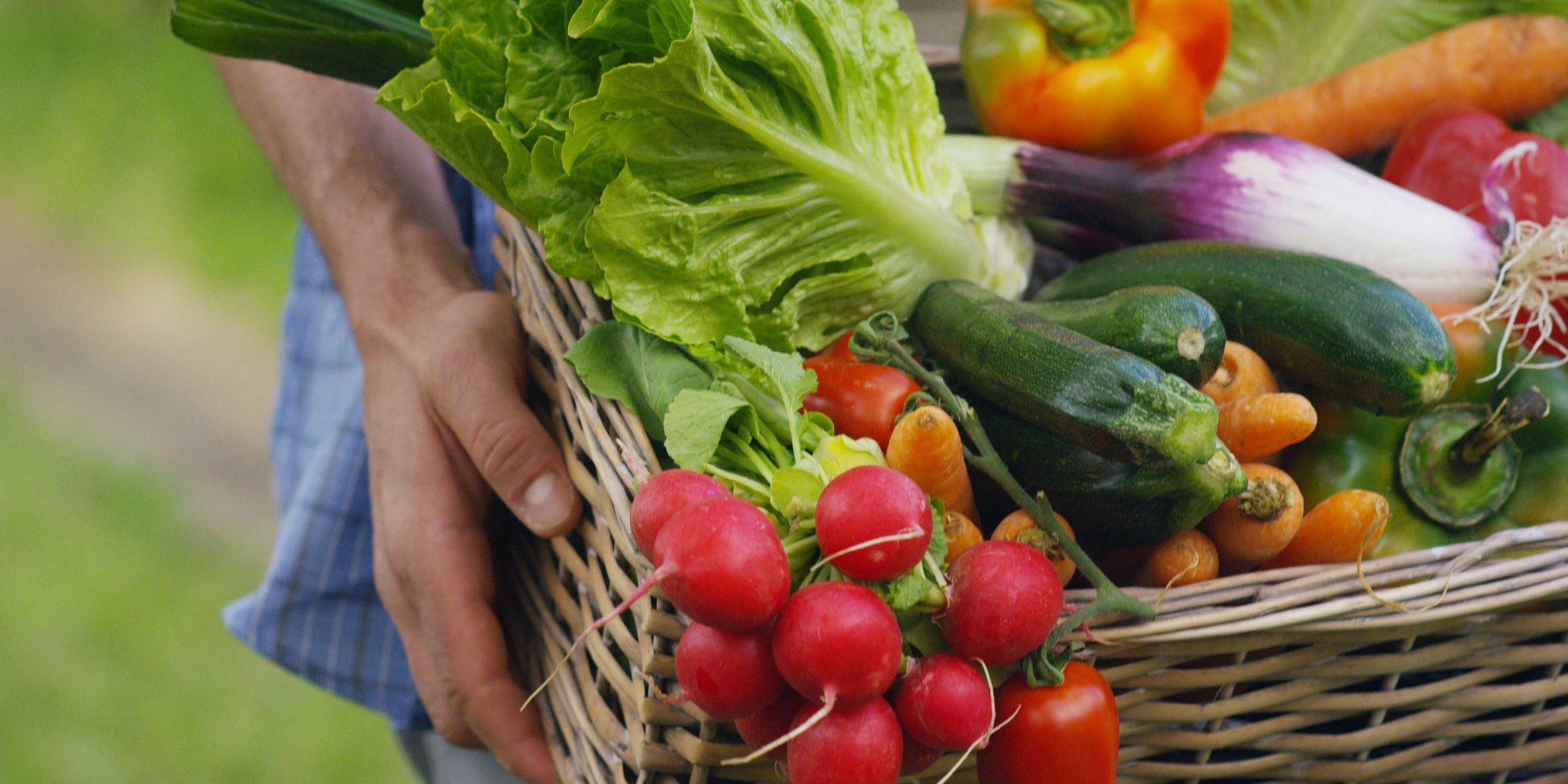 LHF NZ image our story